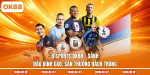 A Sports OK88 - Sảnh Đấu Đỉnh Cao, Săn Thưởng Bách Trúng
