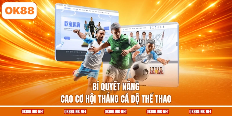 Bí quyết nâng cao cơ hội thắng cá độ thể thao