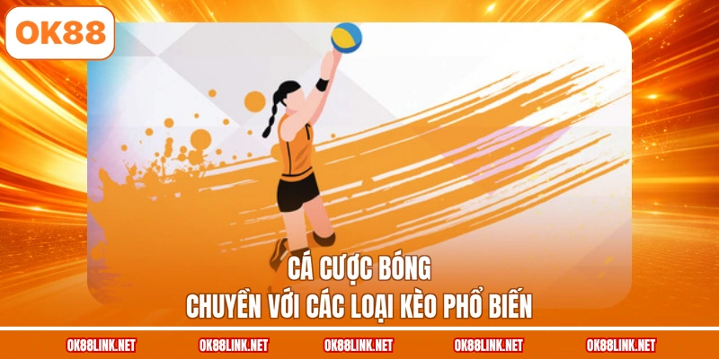 Cá cược bóng chuyền với các loại kèo phổ biến