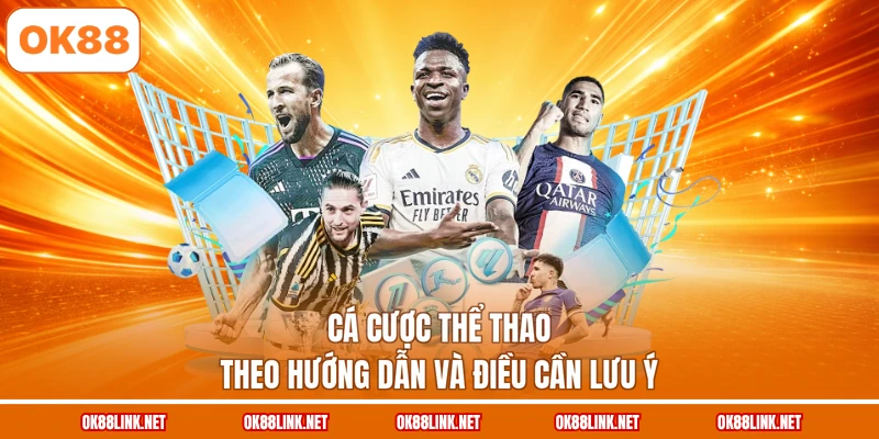 Cá cược thể thao theo hướng dẫn và điều cần lưu ý