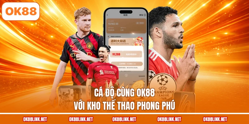 Cá độ cùng OK88 với kho thể thao phong phú