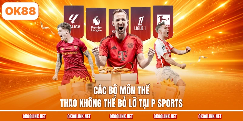 Các bộ môn thể thao không thể bỏ lỡ tại P Sports