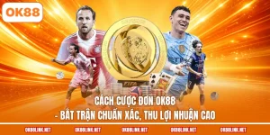 Cách Cược Đơn OK88 - Bắt Trận Chuẩn Xác, Thu Lợi Nhuận Cao