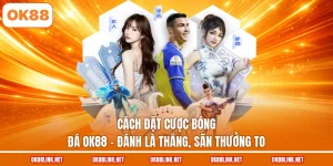 Cách Đặt Cược Bóng Đá OK88 - Đánh Là Thắng, Săn Thưởng To