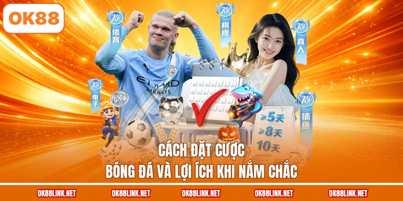 Cách đặt cược bóng đá và lợi ích khi nắm chắc