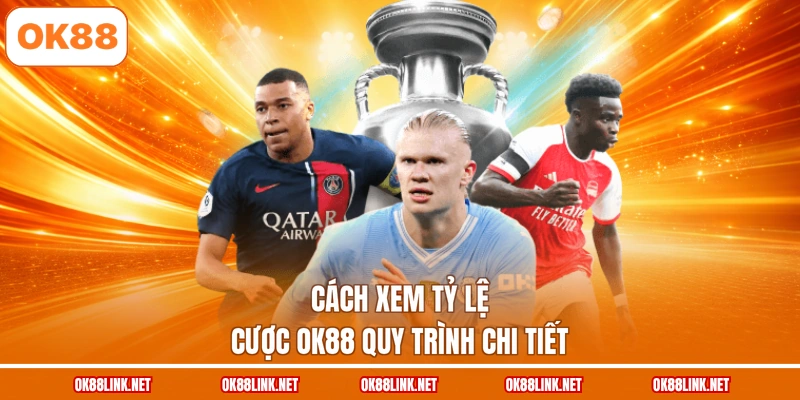 Cách xem tỷ lệ cược OK88 quy trình chi tiết