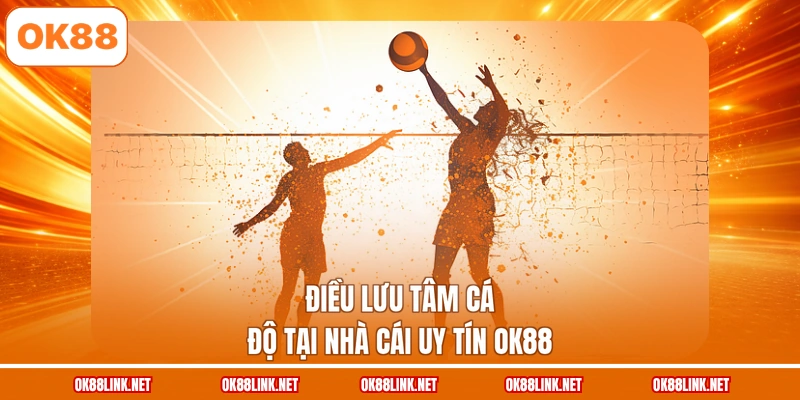 Điều lưu tâm cá độ tại nhà cái uy tín OK88