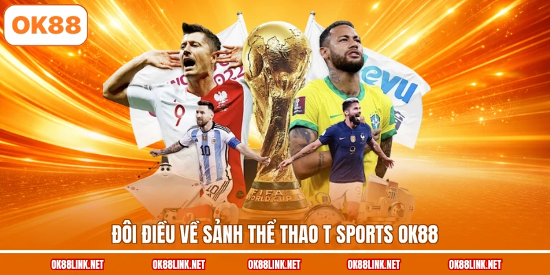 Đôi điều về sảnh thể thao T Sports OK88