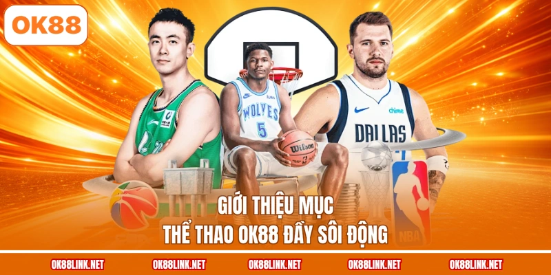 Giới thiệu mục thể thao OK88 đầy sôi động
