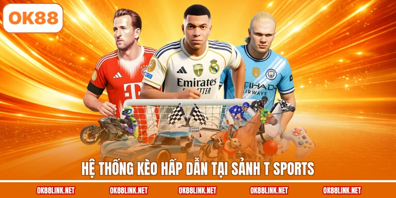 Hệ thống kèo hấp dẫn tại sảnh T Sports