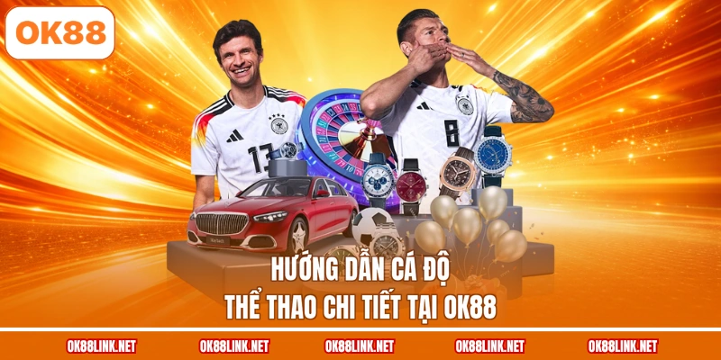 Hướng dẫn cá độ thể thao chi tiết tại OK88