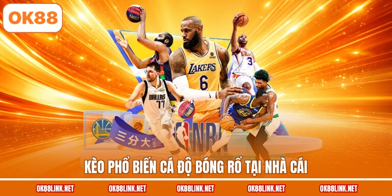 Kèo phổ biến cá độ bóng rổ tại nhà cái
