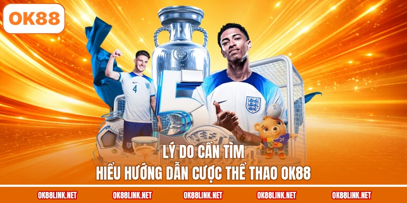 Lý do cần tìm hiểu hướng dẫn cược thể thao OK88