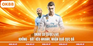 OK88 Có Cược Live Không - Bắt Kèo Nhanh, Nhận Quà Cực Đã