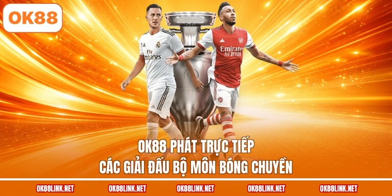 OK88 phát trực tiếp các giải đấu bộ môn bóng chuyền