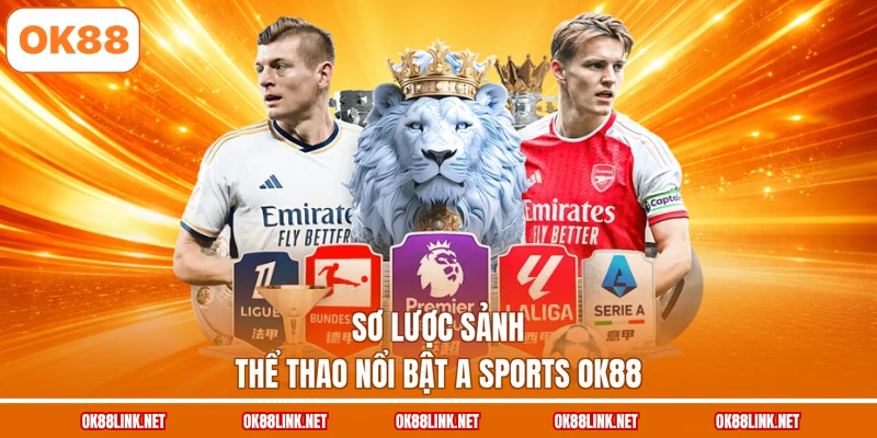 Sơ lược sảnh thể thao nổi bật A Sports OK88