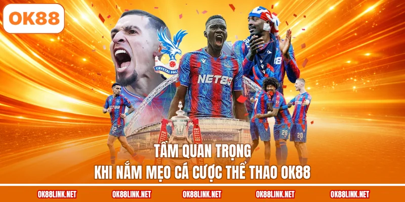 Tầm quan trọng khi nắm mẹo cá cược thể thao OK88