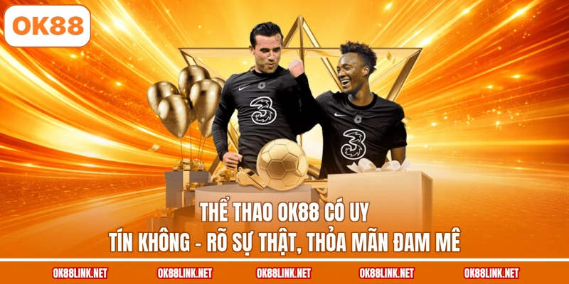 Thể Thao Ok88 Có Uy Tín Không - Rõ Sự Thật, Thỏa Mãn Đam Mê