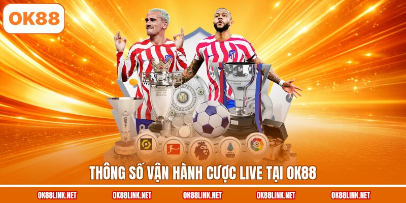 Thông số vận hành cược live tại OK88