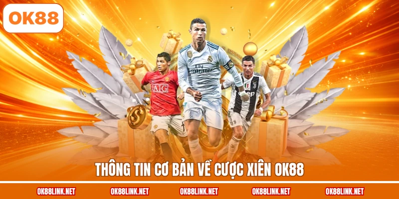 Thông tin cơ bản về cược xiên OK88